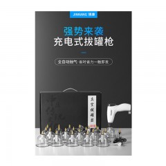 真空拔罐器抽气式拨气罐家用祛湿拔火罐电动枪玻璃美容院专用套装 12罐电动拔罐套装+手动抽气枪